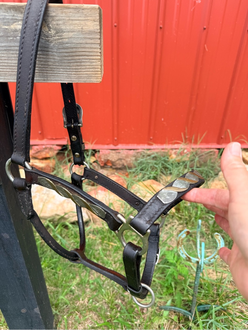 Leather Western Horse Show Halter - Cob - Arabian